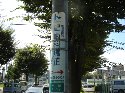 電信柱に「星歯科矯正」の看板