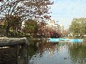 池の中央に橋