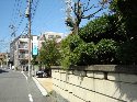 、星歯科矯正の看板