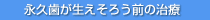 �i�v�����������낤�O�̎���