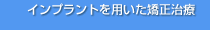 �C���v�����g��p������������